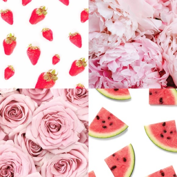 Juicy Couture Rosé Land Reed Diffuser 120ml / 4fl oz. New/Sealed - Picture 4 of 9